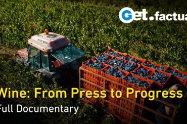 Wine's History and its Ecological Future | Full Documentary
