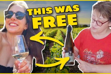 The GREATEST Day Trip From Strasbourg | ALSACE WINE TOUR