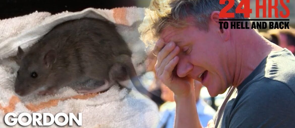 Rat-Infested Restaurant | 24 Hours to Hell & Back