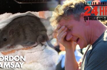 Rat-Infested Restaurant | 24 Hours to Hell & Back