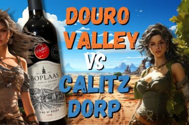 Douro vs Calitzdorp: a more detailed comparison | Boplaas Ring of Rocks Red Blend | Video No. 220
