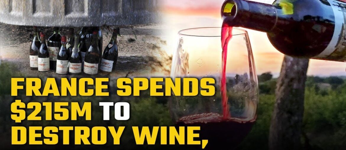 France has surplus of wine, it is paying farmers millions to destroy, know why | Oneindia News
