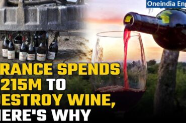 France has surplus of wine, it is paying farmers millions to destroy, know why | Oneindia News