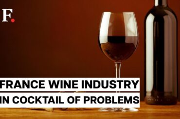 France To Spend Over $200 Mn To Destroy Excess Wine