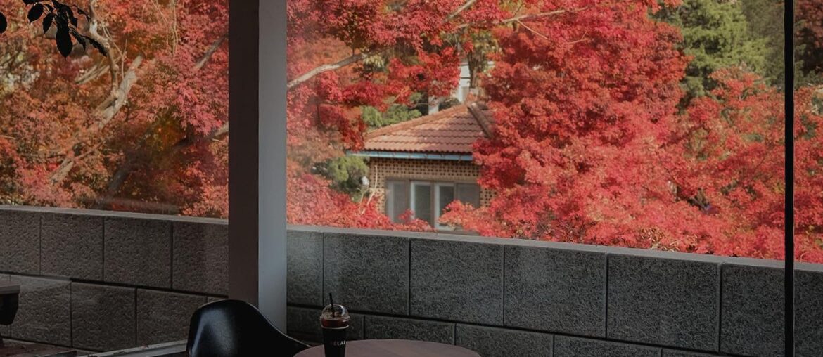 Cafe with a view of autumn foliage at the base of the Bukhan mountains, Gangbuk District, northern Seoul, South Korea [1440x1800]