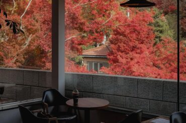 Cafe with a view of autumn foliage at the base of the Bukhan mountains, Gangbuk District, northern Seoul, South Korea [1440x1800]