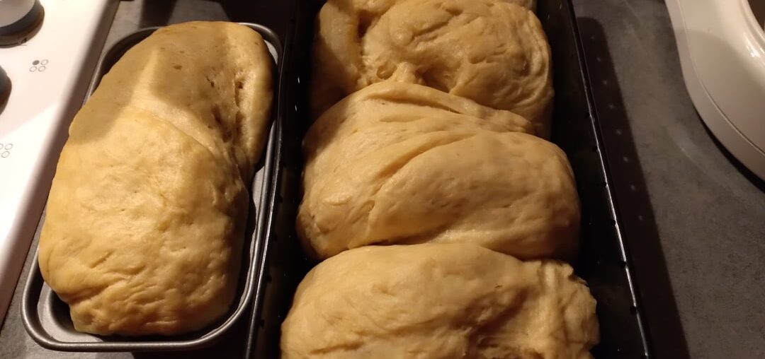 Nouvel essais de brioche fait maison