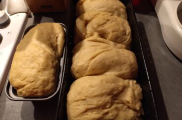 Nouvel essais de brioche fait maison
