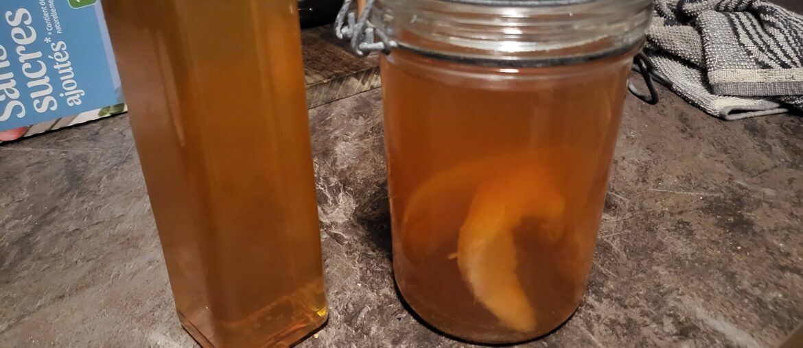 Premier essai de vinaigre de cidre ! Qu'est ce que vous en pensez ?