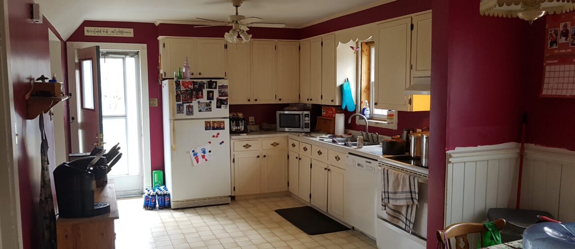 Looking to spruce this kitchen up limited budget 10k.