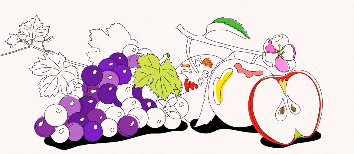 Stronger Together: Could apples be wine's answer to climate change?