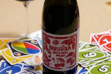 Milan Nestarec Barvířka 2020