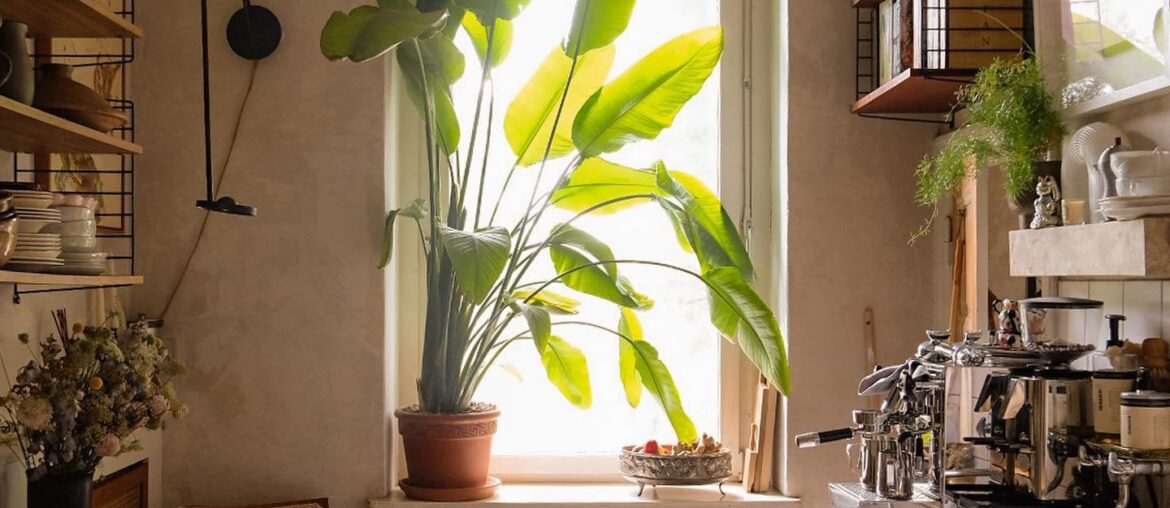 Compact kitchen and dining space in an apartment, Neukölln, Berlin, Germany [1440x1800]