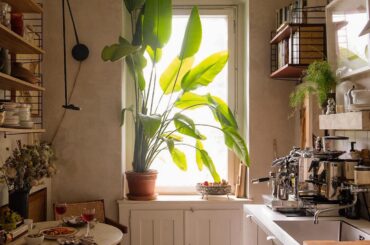 Compact kitchen and dining space in an apartment, Neukölln, Berlin, Germany [1440x1800]