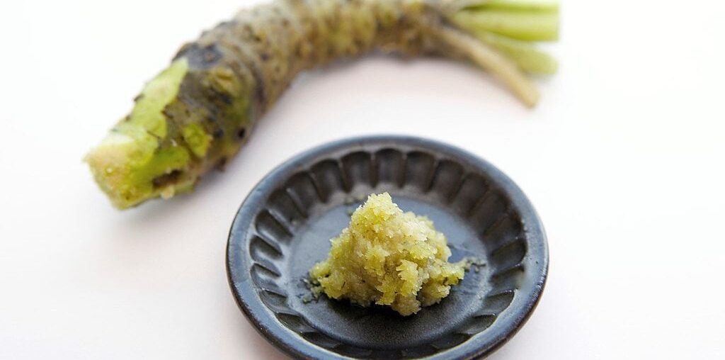 Wasabi : test d’aliment japonais