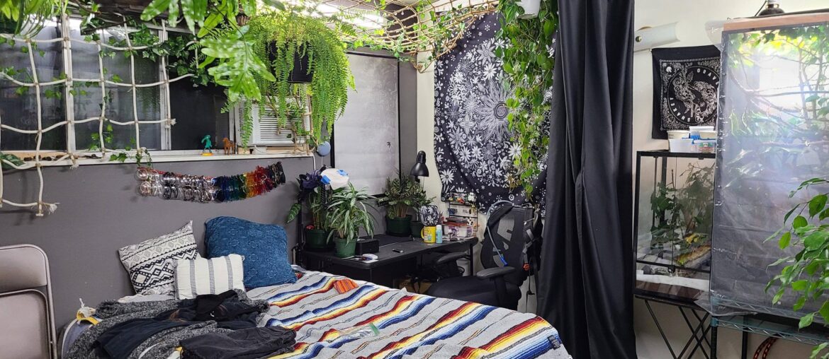 Maybe not traditional for this sub (and just a bit messy), but I like my bedroom (4032x2268)