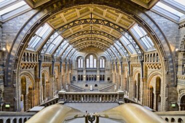Natural History Museum, London, UK [2500x1666]