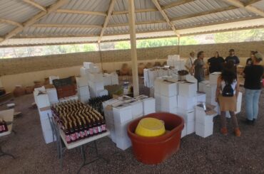 Central Mexico Natural Wine