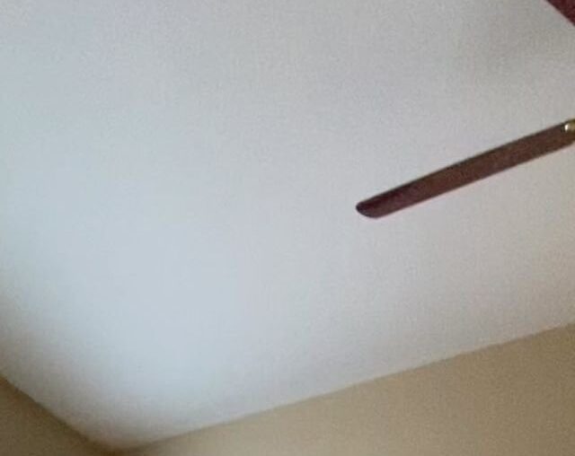 Fully Gutted Remodel in 30 days!