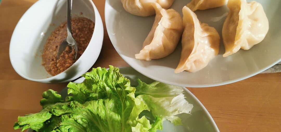 Gyoza fait maison, des fans par ici ? 😇