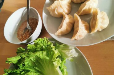 Gyoza fait maison, des fans par ici ? 😇