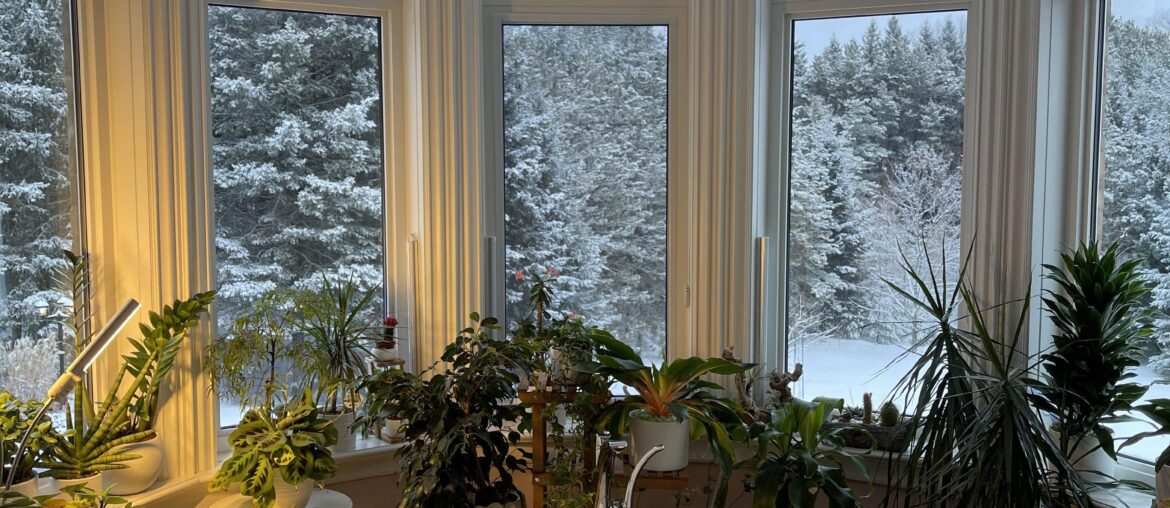 Winter views from a bathtub in a Toronto home, Ontario, Canada [3024x4032]
