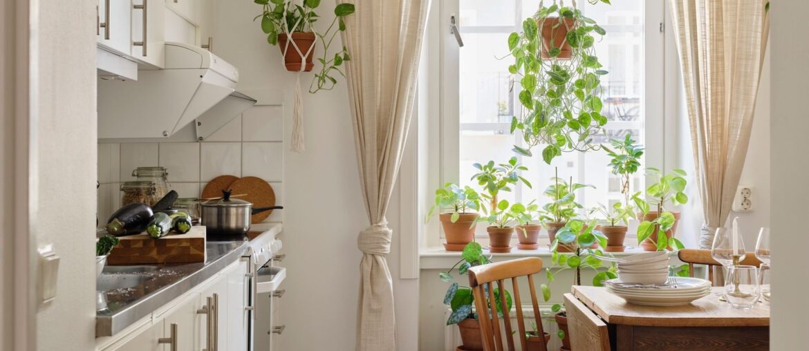 Checkerboard floor kitchen full of houseplants in a one-bedroom apartment, Hornstull, Södermalm, Stockholm, Sweden [1875x2500]