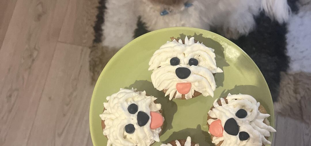 Cupcakes 🧁 à l’occasion de l’anniversaire du Toutou