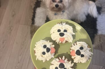 Cupcakes 🧁 à l’occasion de l’anniversaire du Toutou