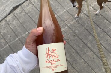 A nice effervescent Rosé from the folks over at Strekov 🇸🇰. Made from St. Laurent grapes with notes of strawberry, lemon, and yeast. Great summer wine. Ps. Be very careful when opening lol