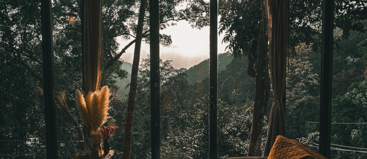 Forest tranquility, Chiang Mai, Thailand 2917 x 3647