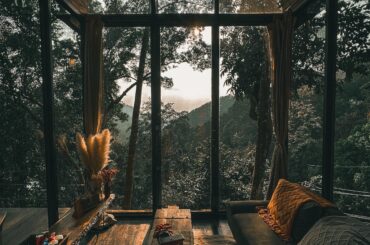 Forest tranquility, Chiang Mai, Thailand 2917 x 3647