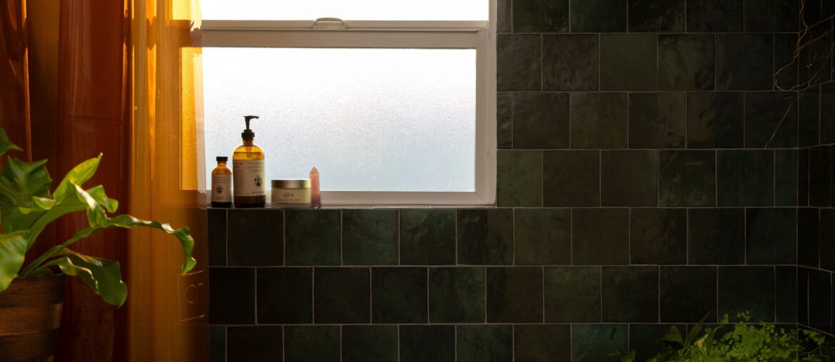 Tiled bathroom with houseplants in a renovated Craftsman-style home, Montecito Heights, Los Angeles [5332x7466]