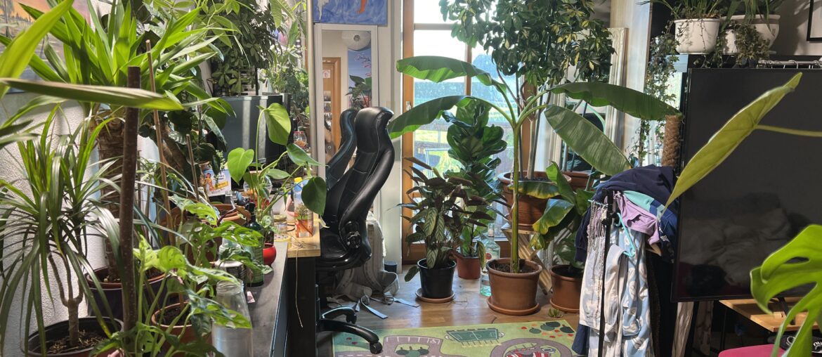 My room is getting cozy [4032x3024] [OC]