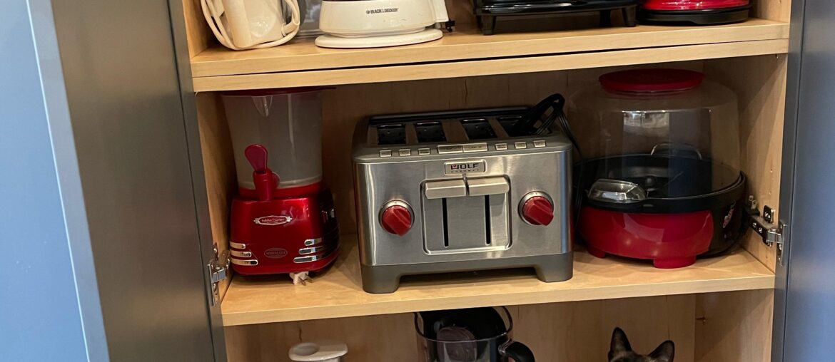 Do you guys put away the cat after you use it? [r/funny by u/ambrtalia]