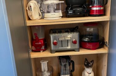 Do you guys put away the cat after you use it? [r/funny by u/ambrtalia]