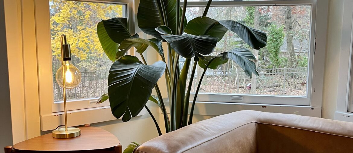 Last of the fall color Manasquan, NJ [2964 x 3284]