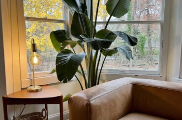 Last of the fall color Manasquan, NJ [2964 x 3284]