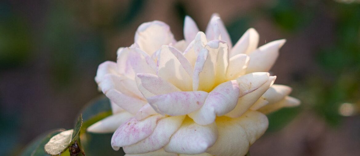 Natural or Unnatural