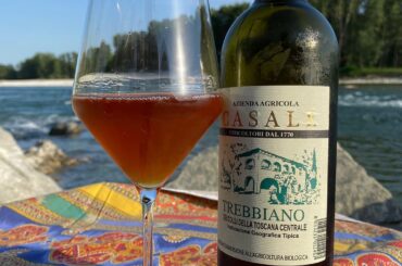 “Trebbiano” 2016 - Casale (Tuscany) 🇮🇹