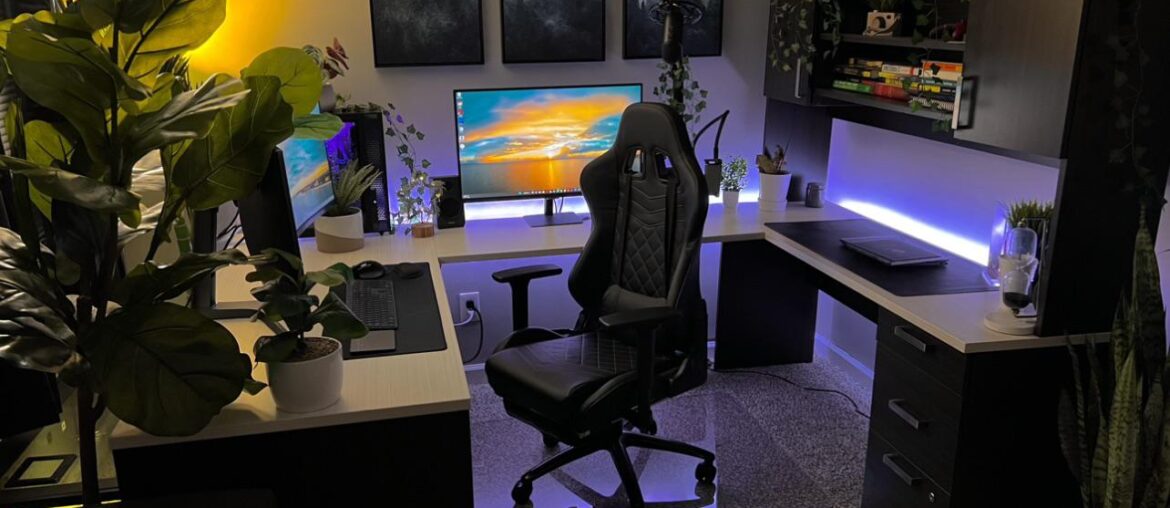 Plant Collection Growing [4032x3024]