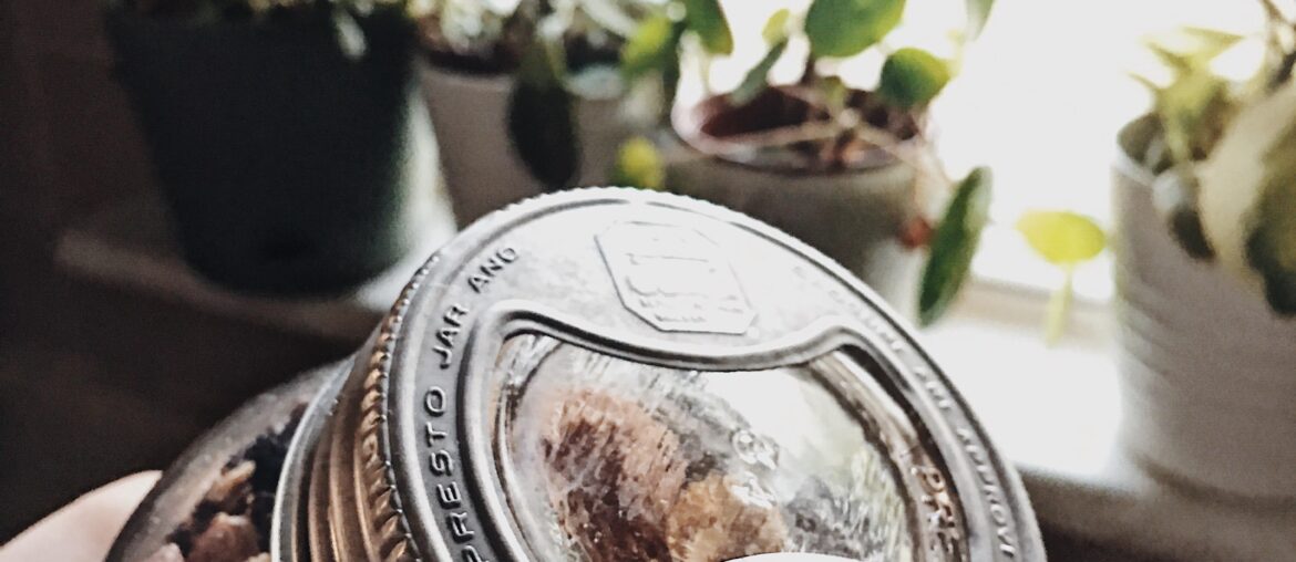Once commented on how much I loved this old jar- my grandmother made homemade granola and gave it to me for Christmas. The smallest gifts with the biggest impact. Fun fact: the metal screws off to a thick bottle glass lid.