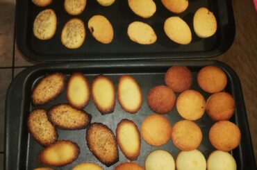 De la douceur dans ce monde de brutes