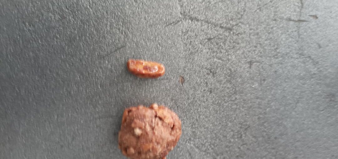 La plus grosse cacahuètes sucré au monde