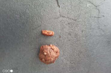 La plus grosse cacahuètes sucré au monde