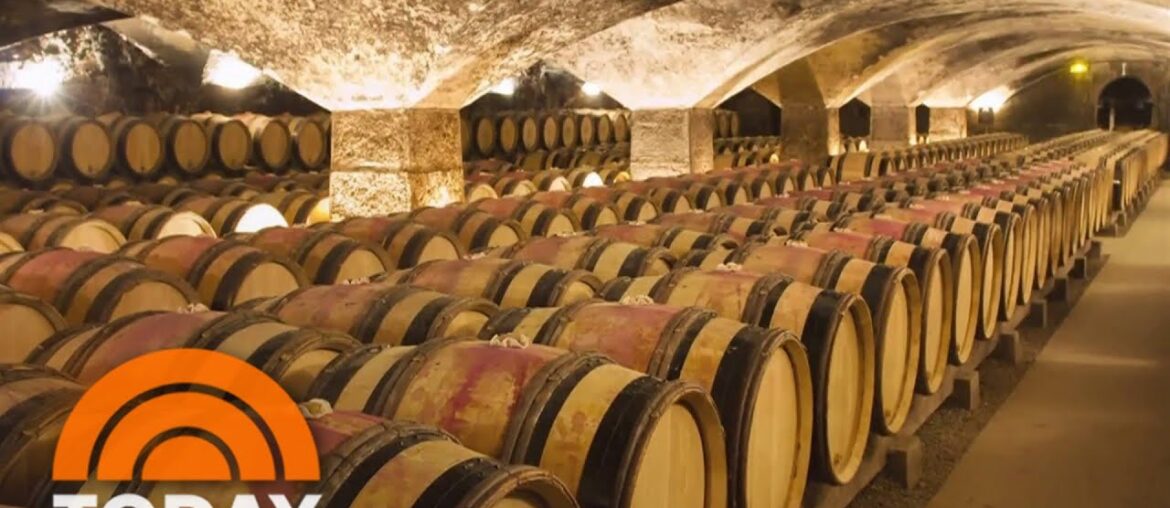 France to spend $200M to destroy wine surplus as demand falls France to spend $200M to destroy wine surplus as demand falls