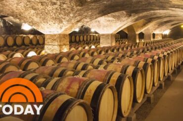 France to spend $200M to destroy wine surplus as demand falls