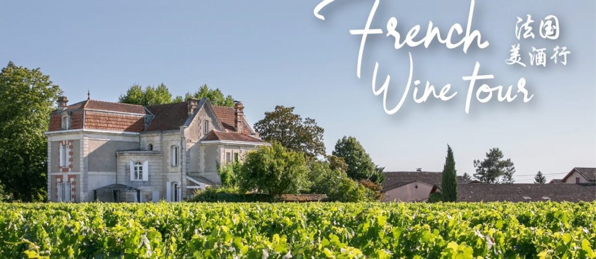 Hedonia - French Wine Tour 2023