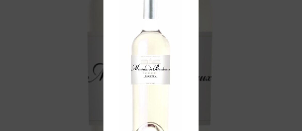 MONSIEUR DE BORDEAUX SAUVIGNON WINE || Alcohol in Delhi 2023 || Foreign Liquor #wine  #price