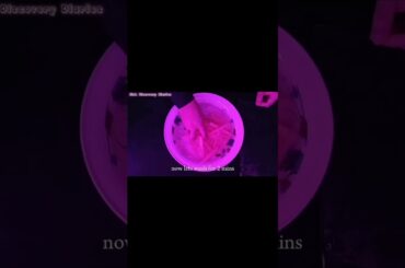 French Fry at home | Easy Potato Fry Recipe | Crispy French Fry | Easy potato Recipe #shorts